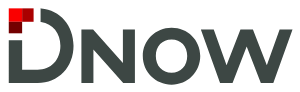 DNOW_logo 2024