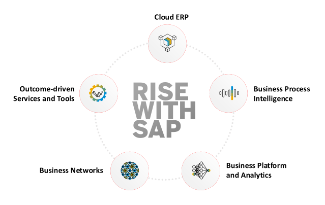 What is included with Rise in SAP